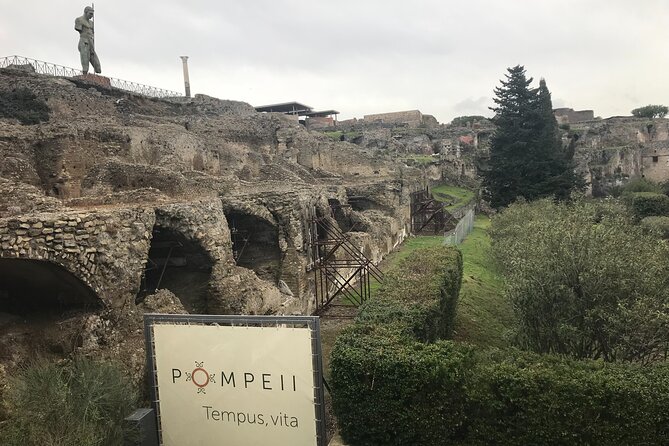 Pompeii Wine Tasting Tour From Positano - Overview and Itinerary