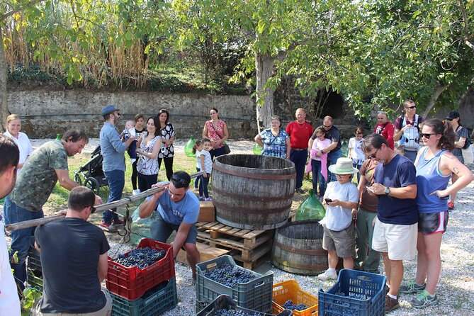 Pompeii Wine Tasting Tour From Positano - Traveler Photos and Reviews