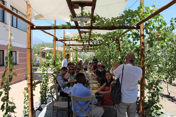 Pompeii Wine Tasting Tour From Positano - Price and Booking Information