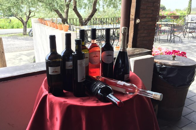 Pompeii-Wine Tasting Tour From Sorrento, Licensed Guide Included - Reviews
