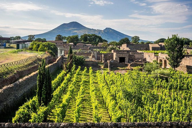 Pompeii & Wine Tour - ALL INCLUSIVE - Tour Highlights