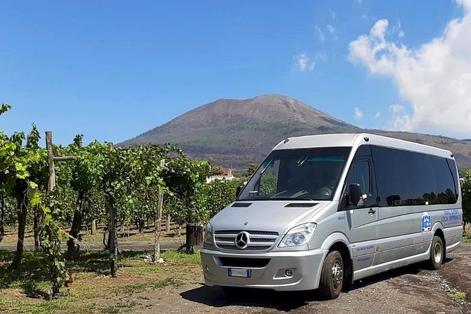Pompeii & Wine Tour - ALL INCLUSIVE - Inclusions
