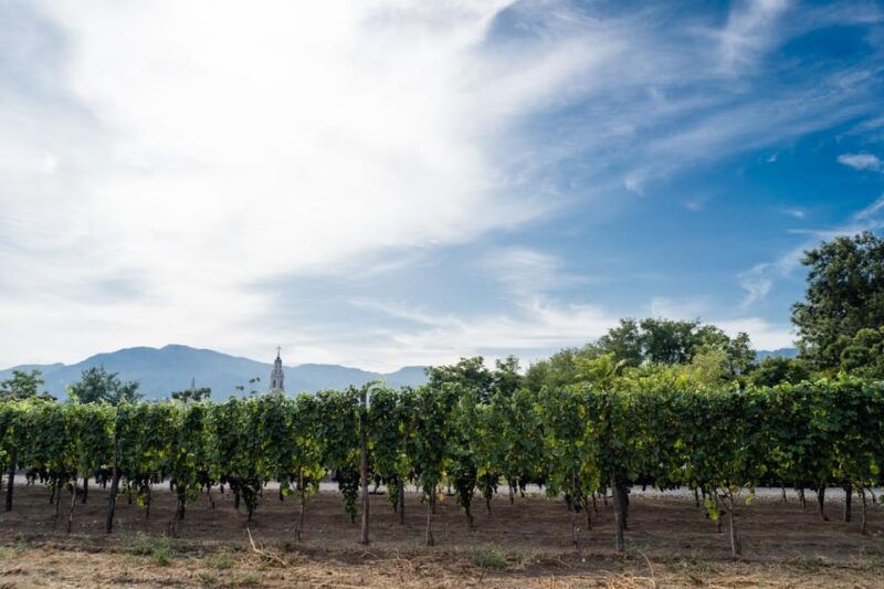 Pompeii Winery Tour, Tasting & Lunch - Good To Know