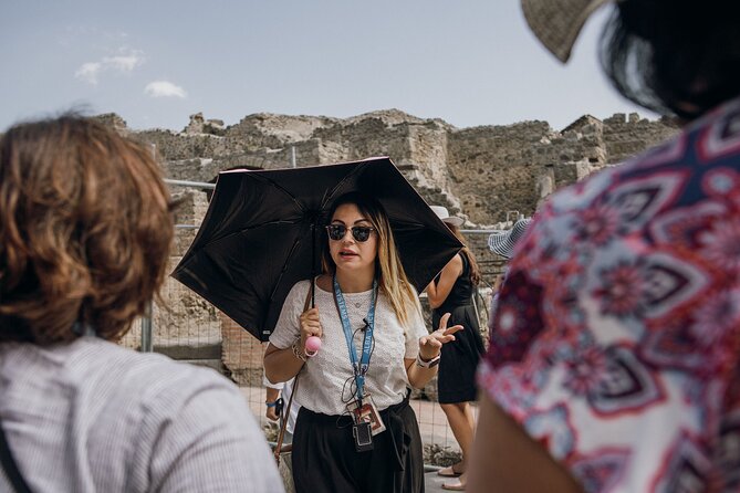 Pompeii With Panoramic Winery Lunch on Vesuvius Rome Day Trip - Itinerary Overview