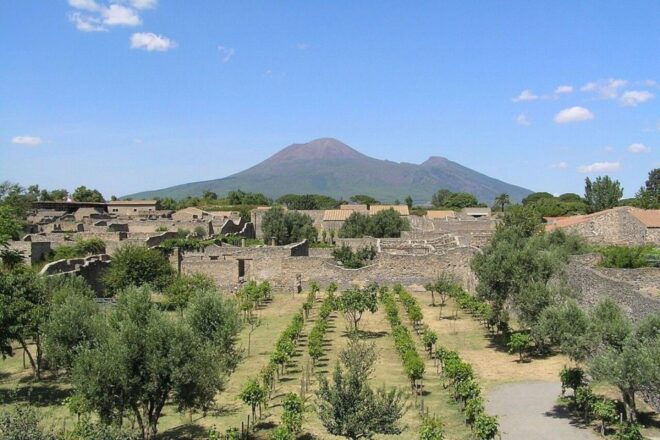 Pompeii With Wine Tasting Private Tour - Experience Highlights
