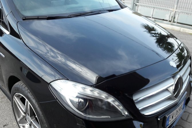 Pompeii,Naples and Pizza Private Tour - Tour Highlights and Itinerary