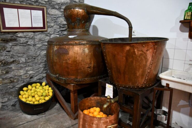 Poncha Tasting by Overland Madeira - Experience Highlights