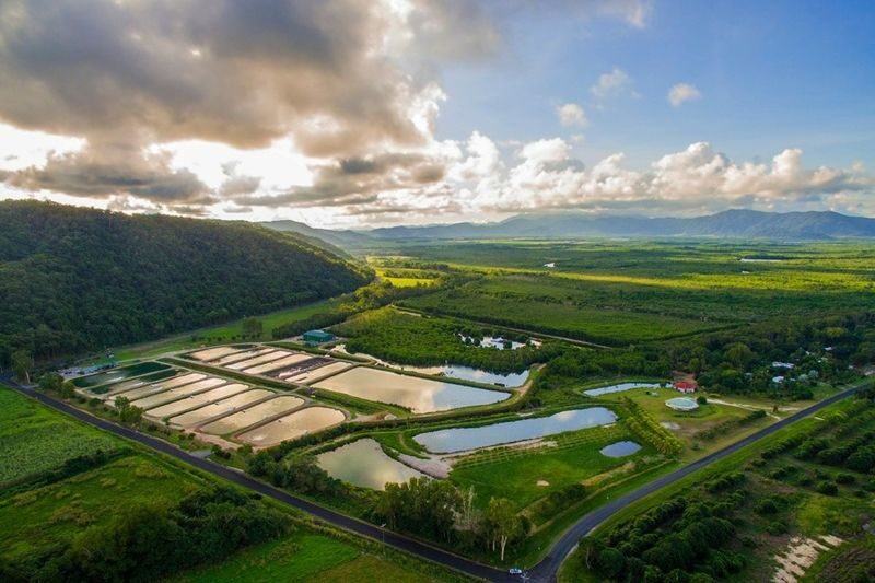 Pond Fishing and Farm Experience in Cairns - A good fit for families, with a little preparation