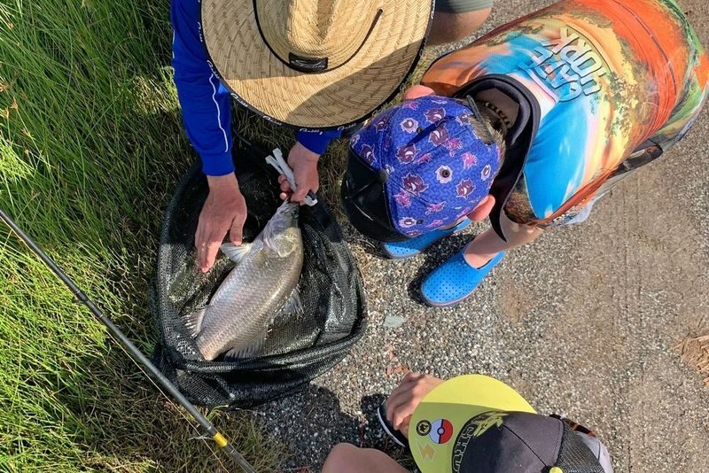 Pond Fishing and Farm Experience in Cairns - Before you book