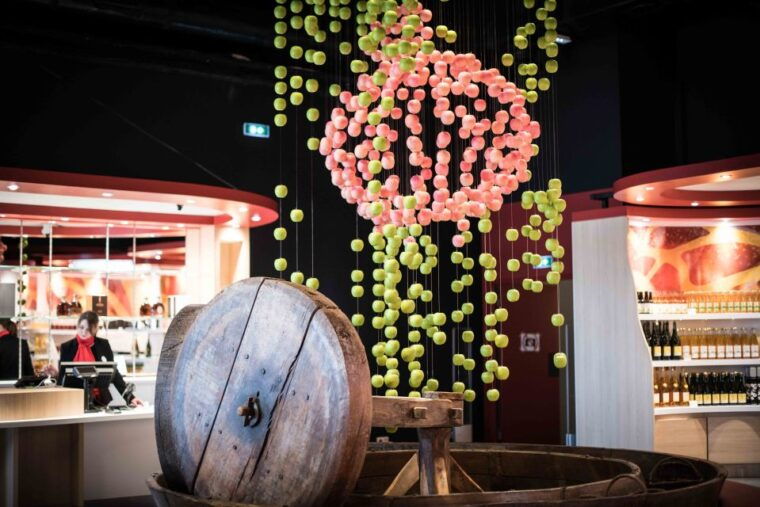 Pont-L'évêque: DISTILLERY PERE MAGLOIRE Entry With Tastings - Transformation of Apples Into Calvados