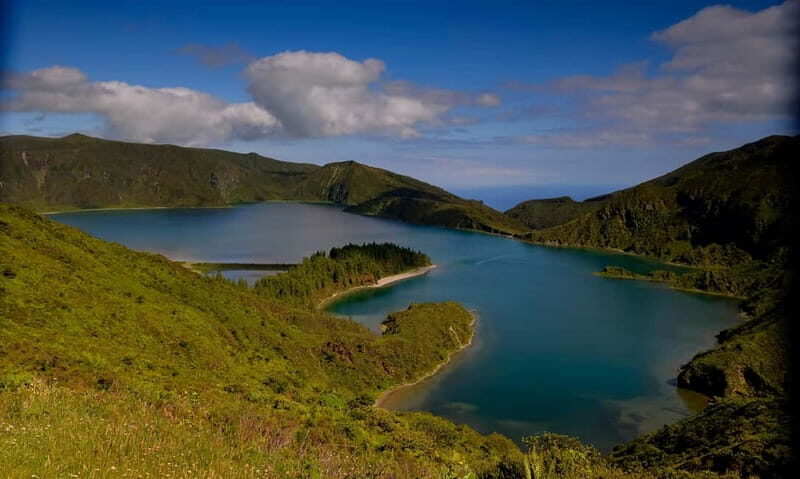 Ponta Delgada: Apiary Guided Tour - The Value & Who It’s Best For