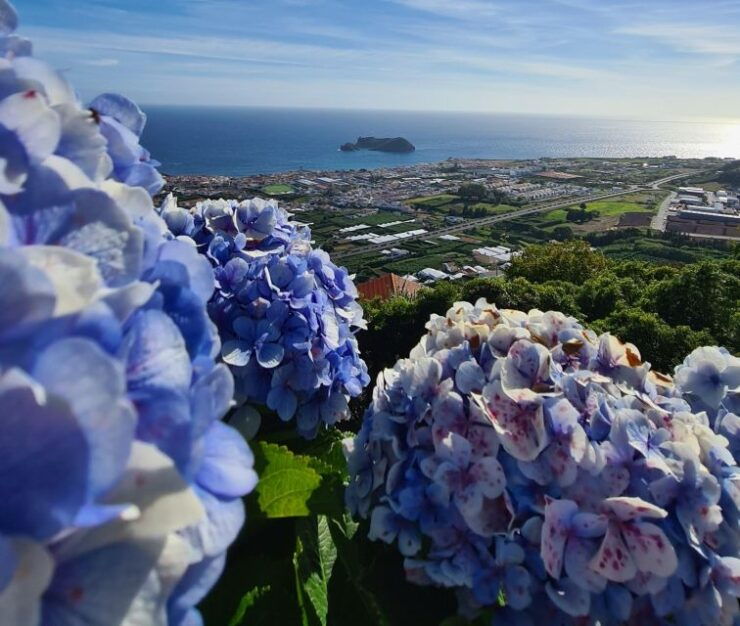 Ponta Delgada: Beauties of São Miguel Island Private Tour - Itinerary