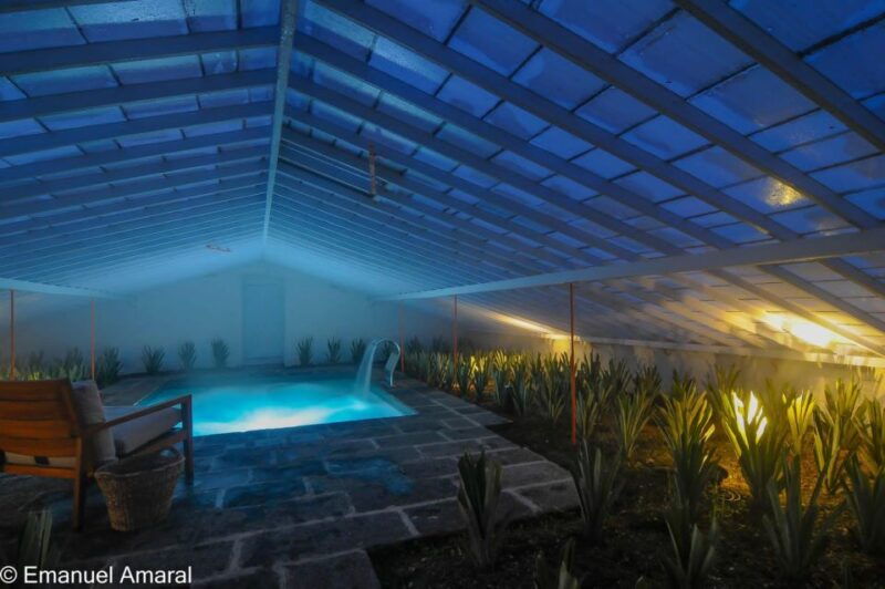 Ponta Delgada: Greenhouse Hot Tube with Pineapple Tour - Good To Know