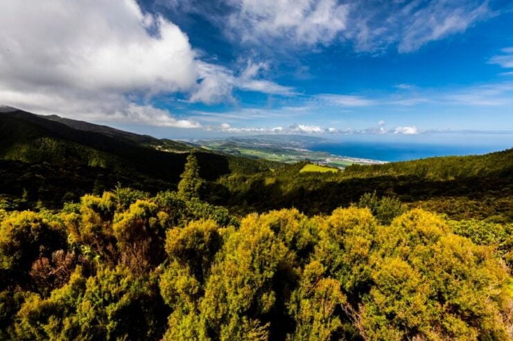 Ponta Delgada: Hidden Gems of São Miguel Full-Day Van Tour - Cancellation and Booking Details