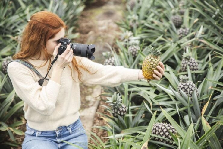 Ponta Delgada: Pineapple Wine Tasting and Pineapple Tour - Experience Highlights