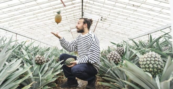Ponta Delgada: Pineapple Wine Tasting and Pineapple Tour - Booking Information
