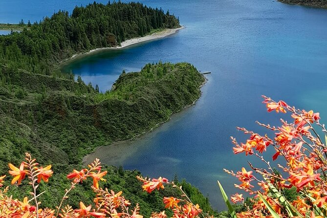 Ponta Delgada: Private Tour, Customizable, Up to 8 People - Accessibility Information