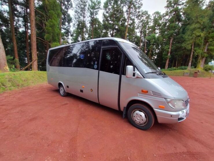 PONTA DELGADA: Private Transfer Airport/Hotel - Booking Information