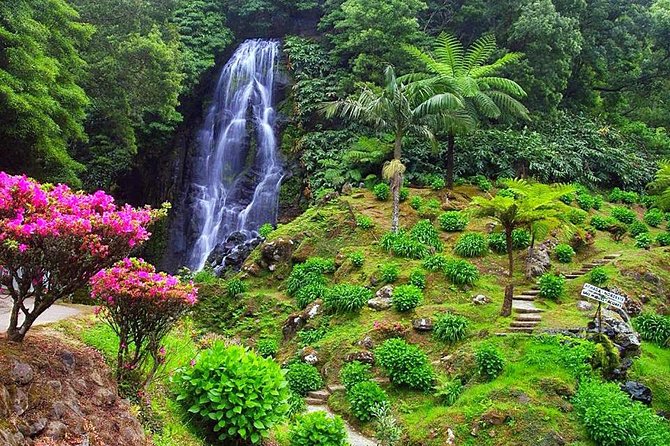 Ponta Delgada Small-Group Northeast Van Tour - Culinary Delights