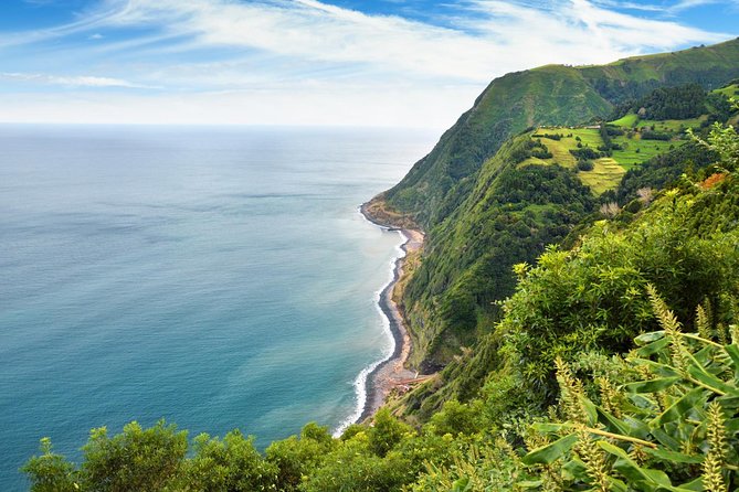 Ponta Delgada Small-Group Northeast Van Tour - Tea Tasting Experience