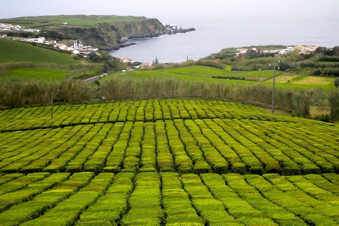 Ponta Delgada Small-Group Northeast Van Tour - The Sum Up