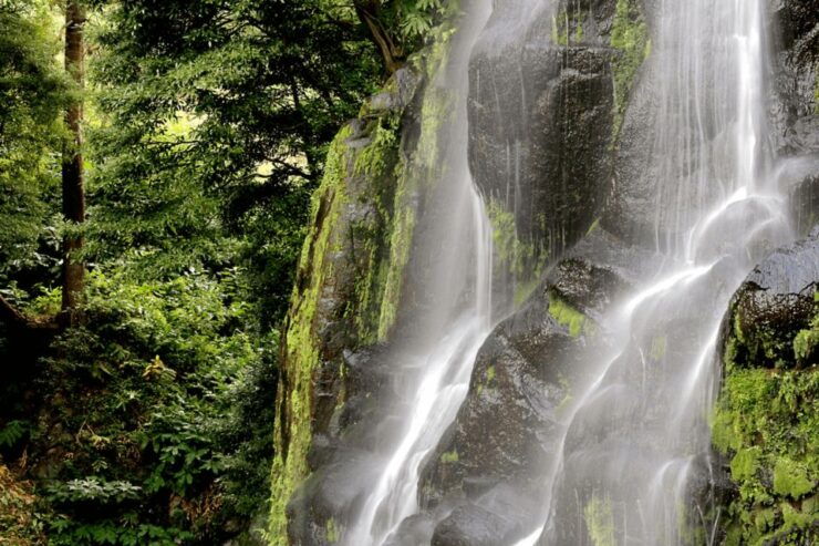 Ponta Delgada to Furnas and Nordeste One Day Tour 80 Eurs - Experience Azorean Culture