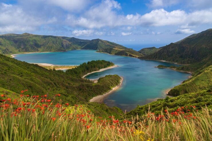 Ponta Delgada: Whales and Volcanoes Tour With Lunch - Experience