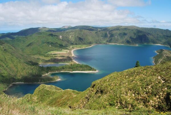Ponta Delgada: Whales and Volcanoes Tour With Lunch - Common Questions