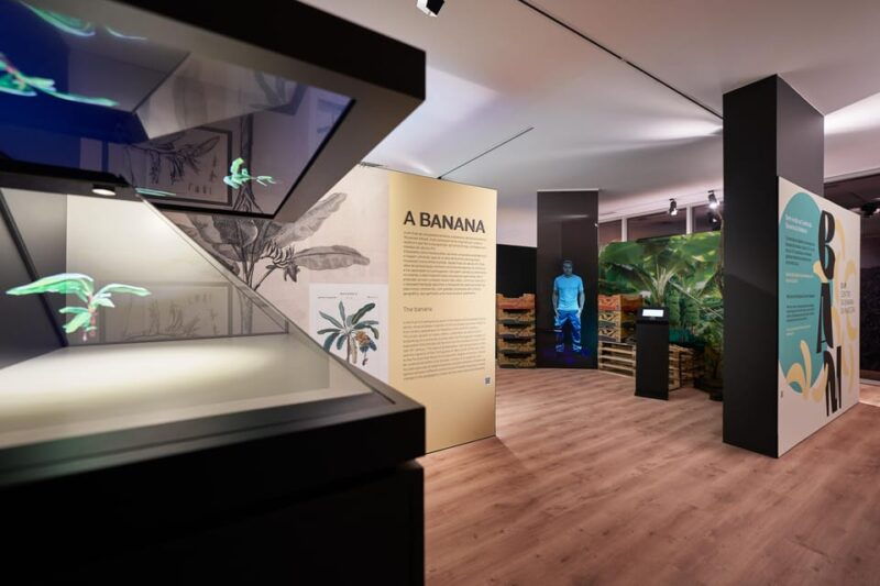 Ponta Do Sol : Madeira Banana Museum guided tour - Good To Know