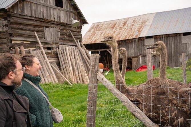 Pontiac Farm Tour - Day Trip From Ottawa & Gatineau - Good To Know  