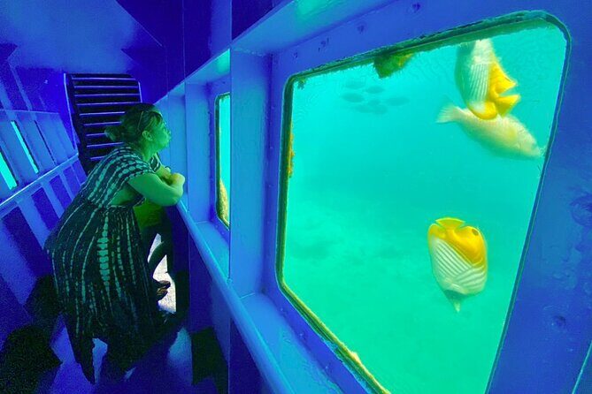 Ponton Day Trip SWIM with fishs All meals included & Transport - Good To Know