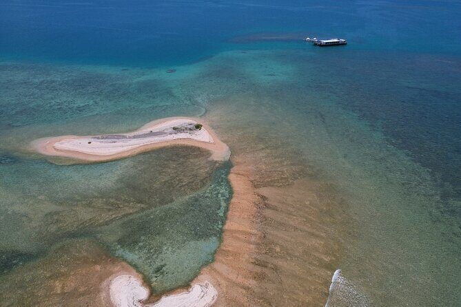 Ponton Day Trip SWIM with fishs All meals included & Transport - Authentic Experiences from Travelers