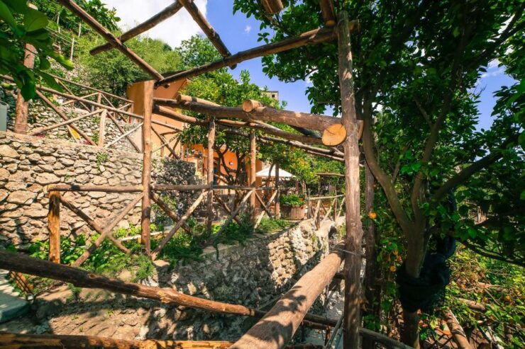 Pontone, Amalfi Coast: Walk in the Lemon Grove With Tasting - Activity Details