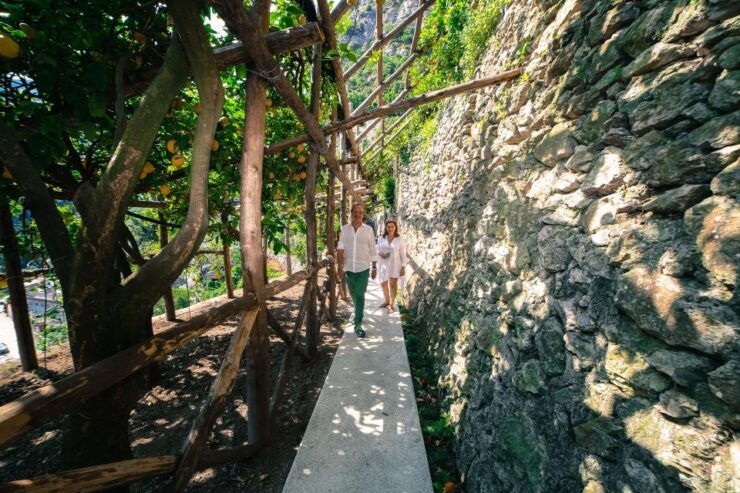 Pontone, Amalfi Coast: Walk in the Lemon Grove With Tasting - Description