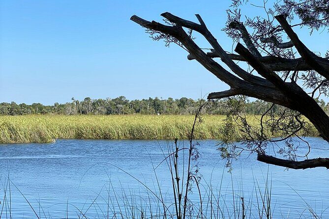 Pontoon Boat Rental Crystal River - Who Should Consider This Experience?