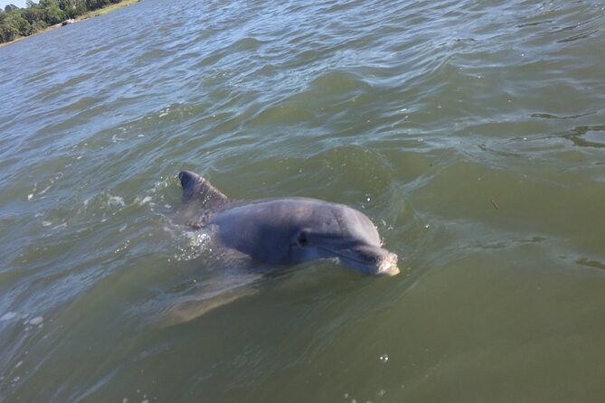 Pontoon Boat Rental in Hilton Head Island - Directions