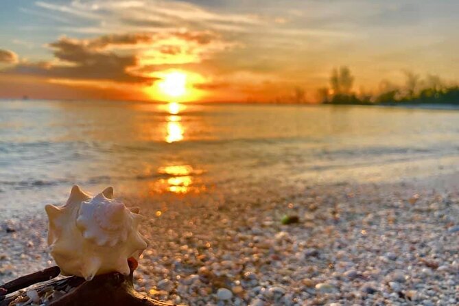 Pontoon Sightseeing and Shelling Excursion to Keeywaydin Island - Directions