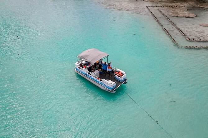 Pontoon Tour in La Laguna De Bacalar - The Sum Up