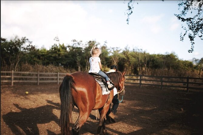 Pony Rides at North Shore Stables - Tips for a Memorable Pony Ride Experience