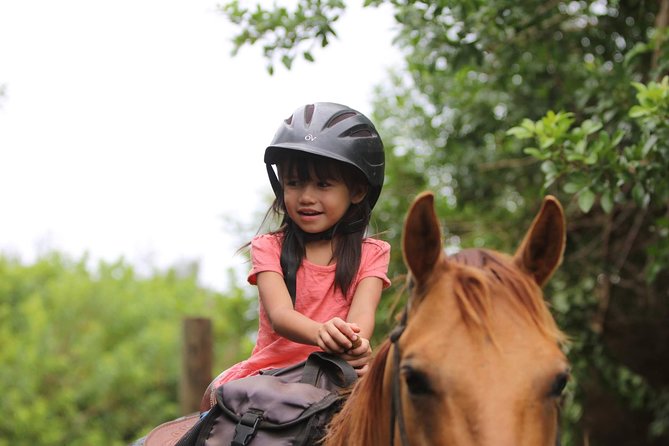 Pony Rides For Kids - Pricing, Copyright, and Terms & Conditions