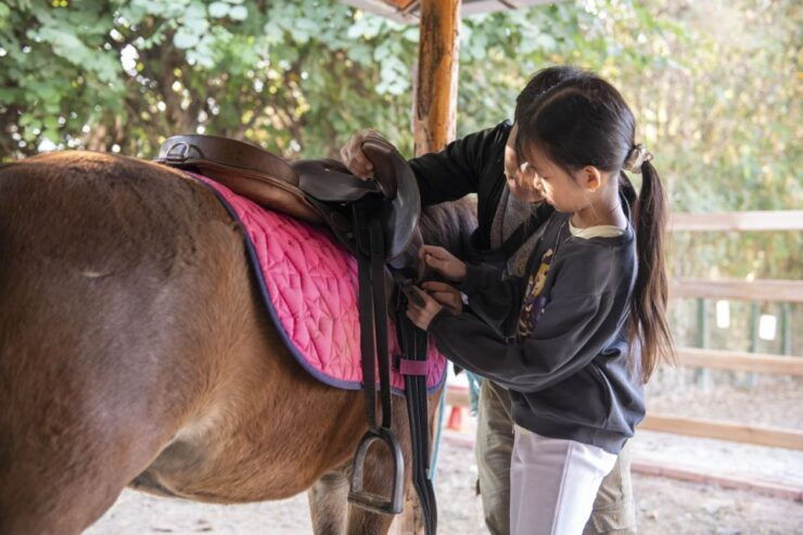 Pony Riding Luang Prabang - Activity Details and Booking Information