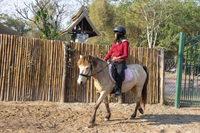 Pony Riding Luang Prabang - Highlights of the Activity