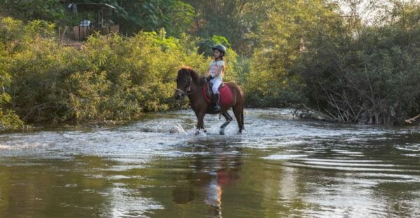Pony Riding Luang Prabang - Horseback Riding Trails for All Levels