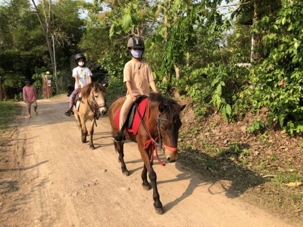 Pony Riding Luang Prabang - Bonding With Your Horse and Ending the Activity