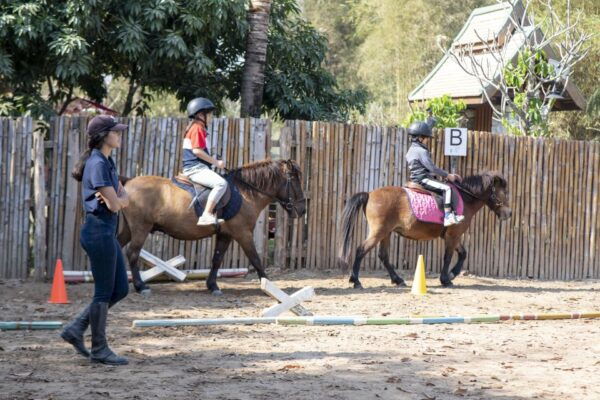 Pony Riding Luang Prabang - The Sum Up