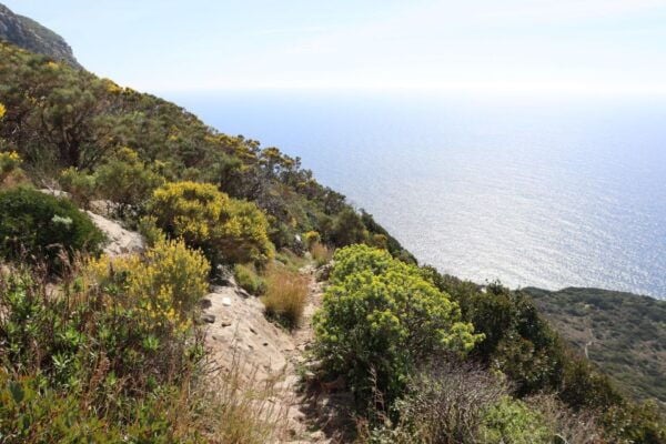 Ponza, Monte Guardia, Guided Nature Walk With a Local Guide - The Sum Up