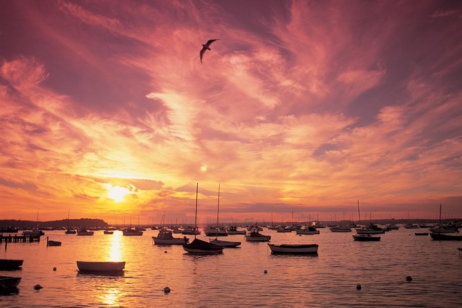 Poole Harbour and Island Cruise From Poole - Overview and Features