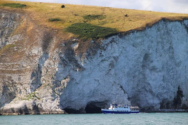 Poole: Jurassic Coast Circular Cruise - Who Should Consider This Tour?