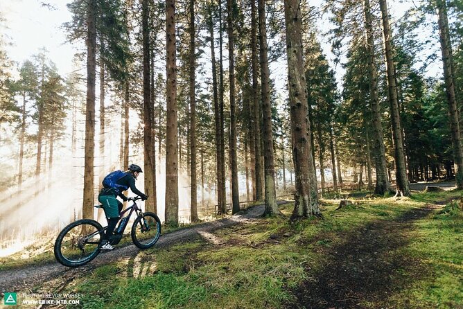 Poole to Old Harry Rocks and Corfe Castle E-Bike Tour  - Bournemouth - Common Questions