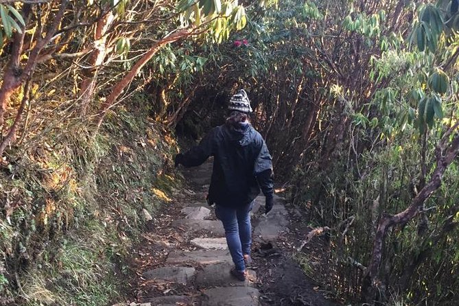 Poon Hill Circuit With Hot Spring Trek From Pokhara - Day 1: Pokhara - Nayapul - Ulleri (1960 Meters)